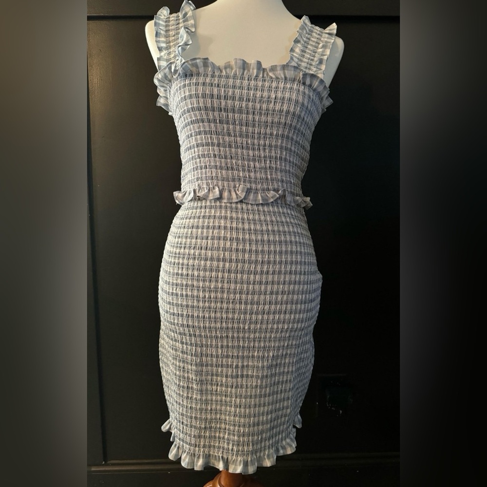 Blue Gingham Ruffle Dress - Picture 3 of 4